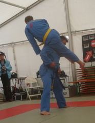 013 vovinam